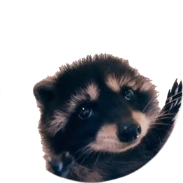 Imagem do Pedro